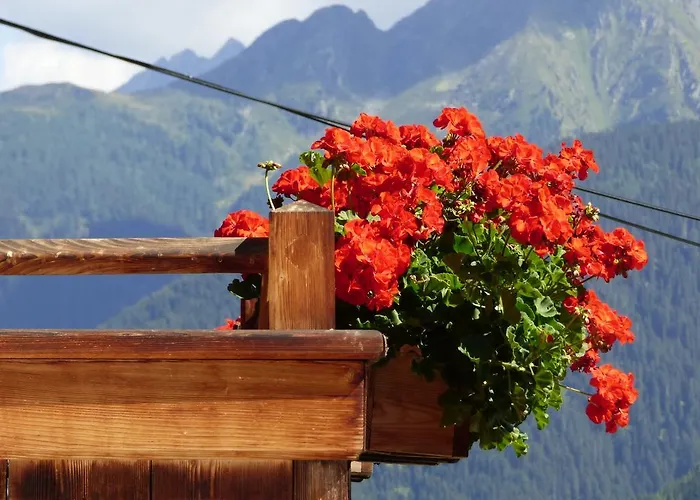 Veider アパート *